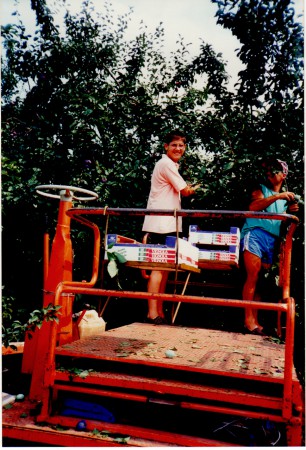 Dipendenti alla raccolta delle susine (1993)